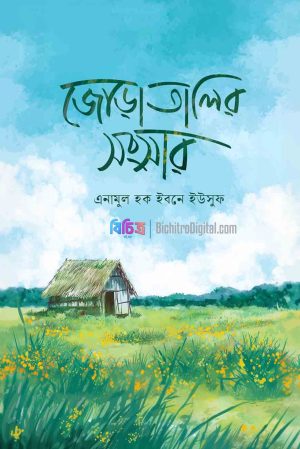 20250917_073847 জোড়াতালির সংসার